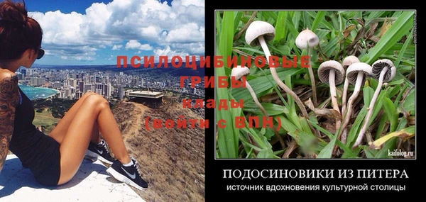 марки nbome Аркадак