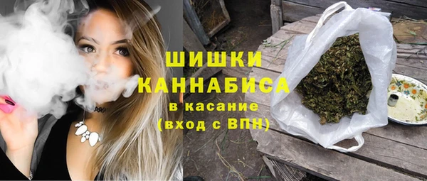 прущие грибы Армянск