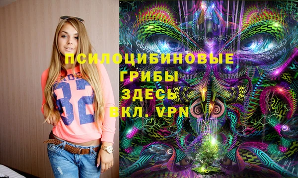 винт Арсеньев